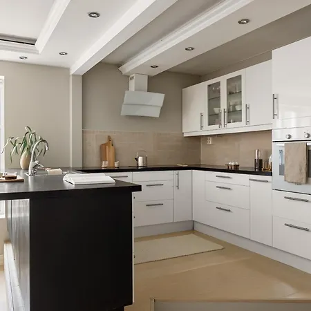 Apartment Dinbnb I 1898 Building With 95 Sqm Of Luxury I 2x Workspace *